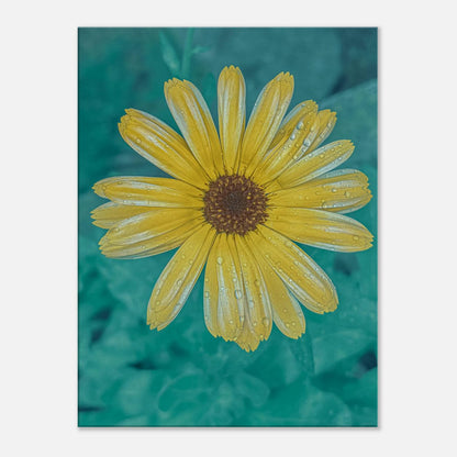 ee087991-1f5b-44b0-9ff5-37a9b8761cc1