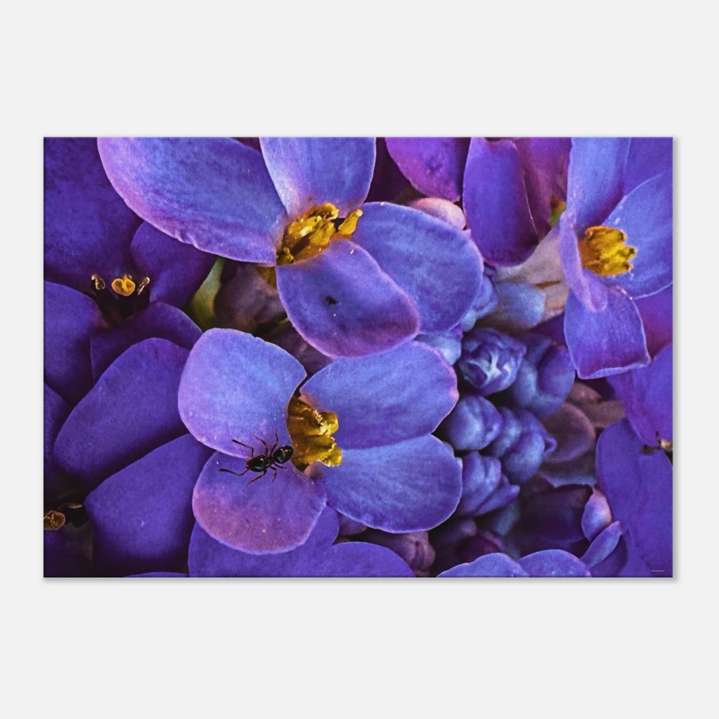 ee0c3c48-e44a-4839-890d-758dbae5e66d