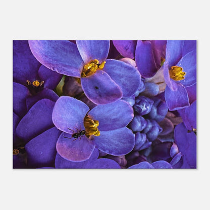 ee0c3c48-e44a-4839-890d-758dbae5e66d