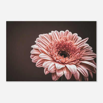 ee0c8e31-953a-44f8-b470-c625638bde47