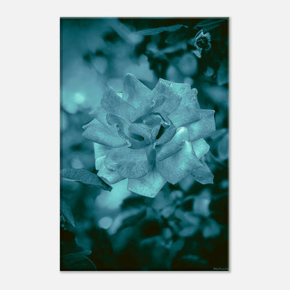 ee2ce185-8a56-4abb-9170-05ff04d333a5