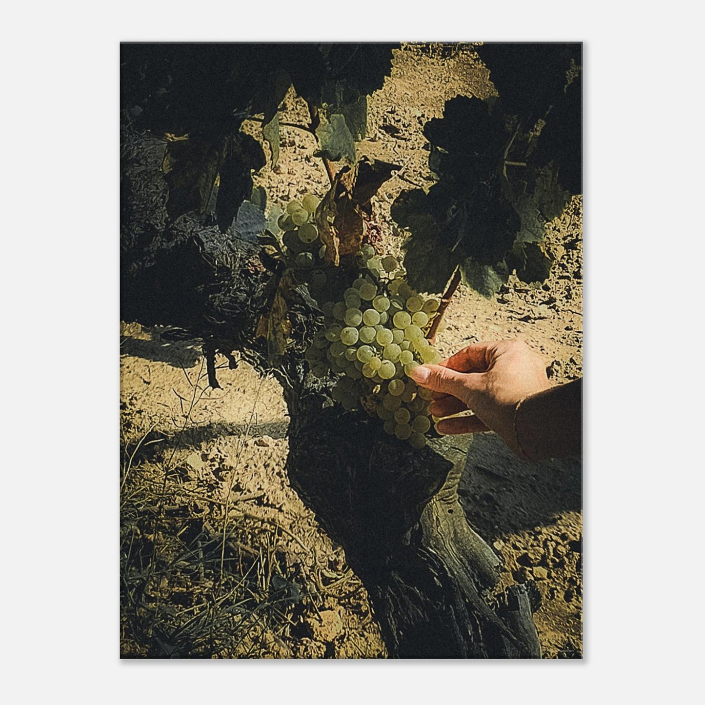 ee5effa4-2909-476e-a99c-650489ed43ea