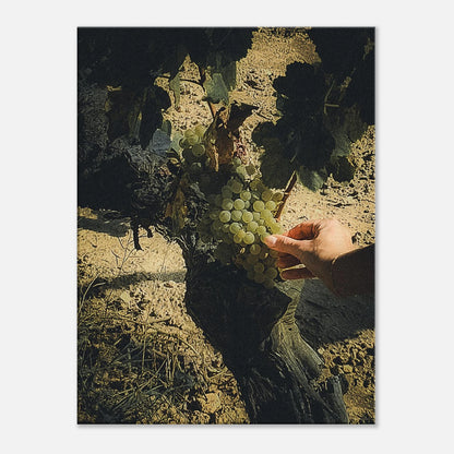 ee5effa4-2909-476e-a99c-650489ed43ea