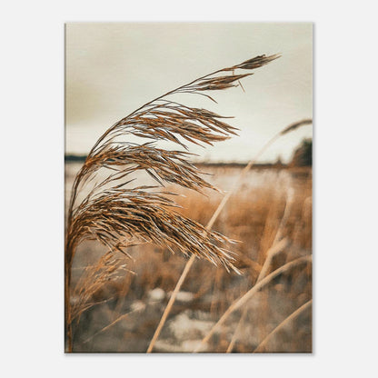 ee6a1581-f2a3-4b9f-b118-aabb65e62465