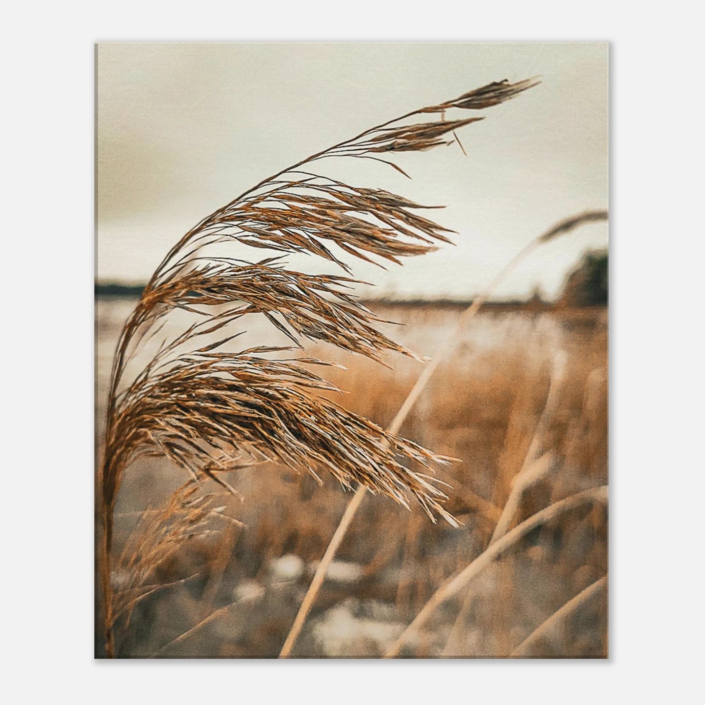 ee7b6749-7ead-4a4b-b631-5bb456c30804