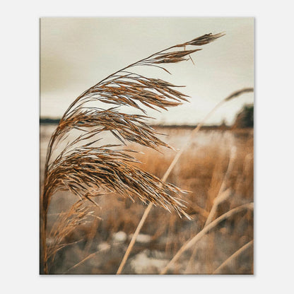 ee7b6749-7ead-4a4b-b631-5bb456c30804