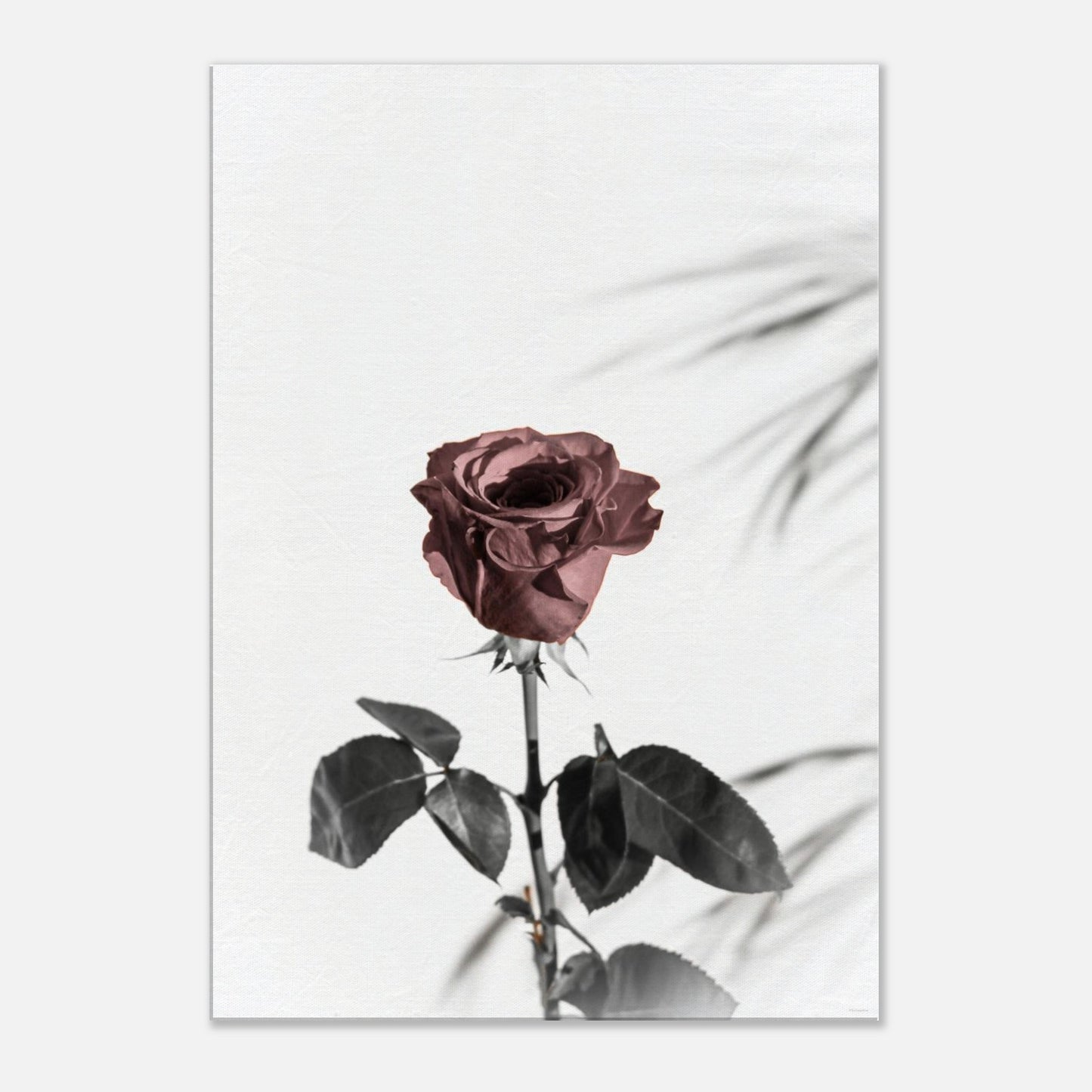 eecc7038-8c27-488e-8668-6acbf25a2574