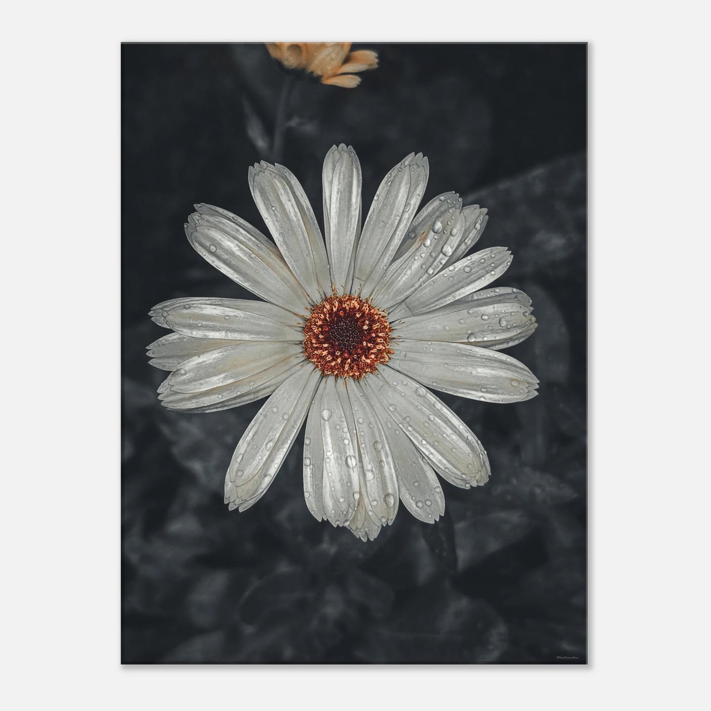 eed6efb7-7785-4c1a-9184-345ac789a62c