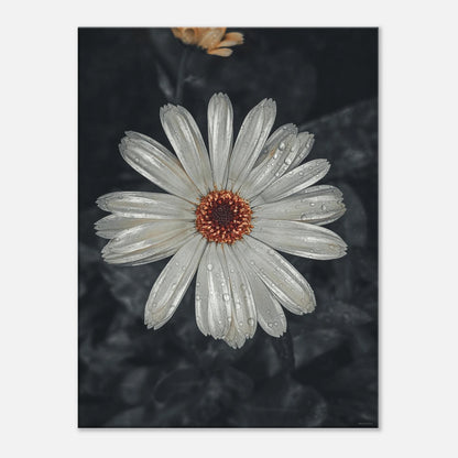 eed6efb7-7785-4c1a-9184-345ac789a62c