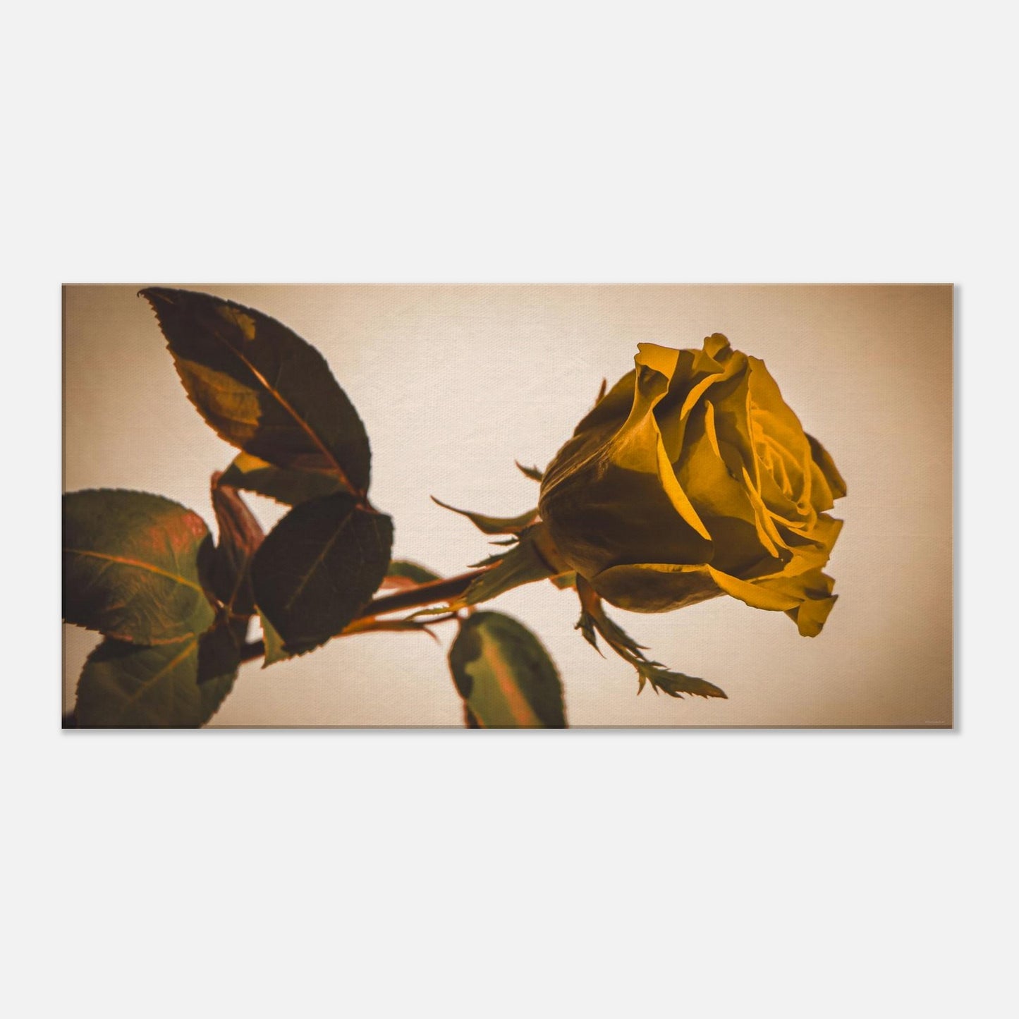 eed8742b-e554-4bc0-9f51-73d0d200e45c