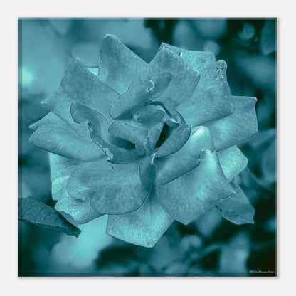 eee14b41-18e7-43e1-8b38-363ee074630d