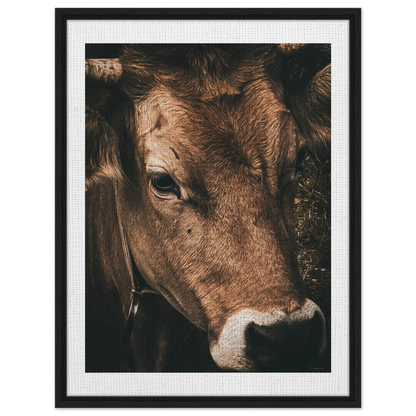 ef0455ad-0e14-4316-85cb-9009f2a9767d