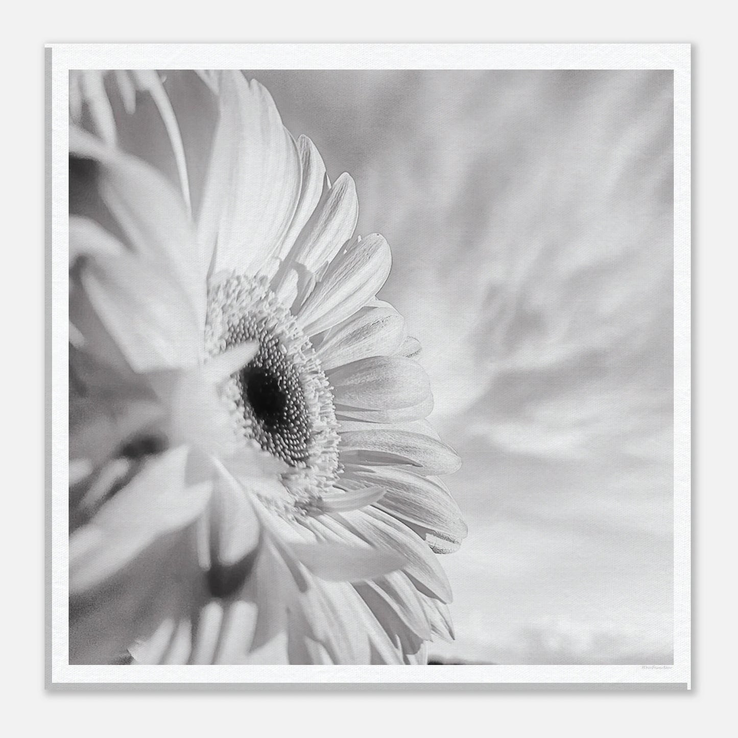 ef1ed704-85cd-41aa-b92e-045f374b60f2