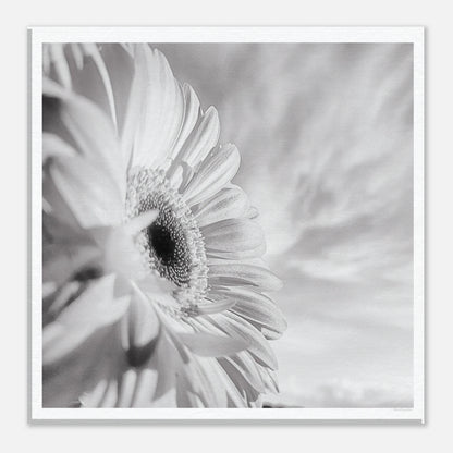 ef1ed704-85cd-41aa-b92e-045f374b60f2