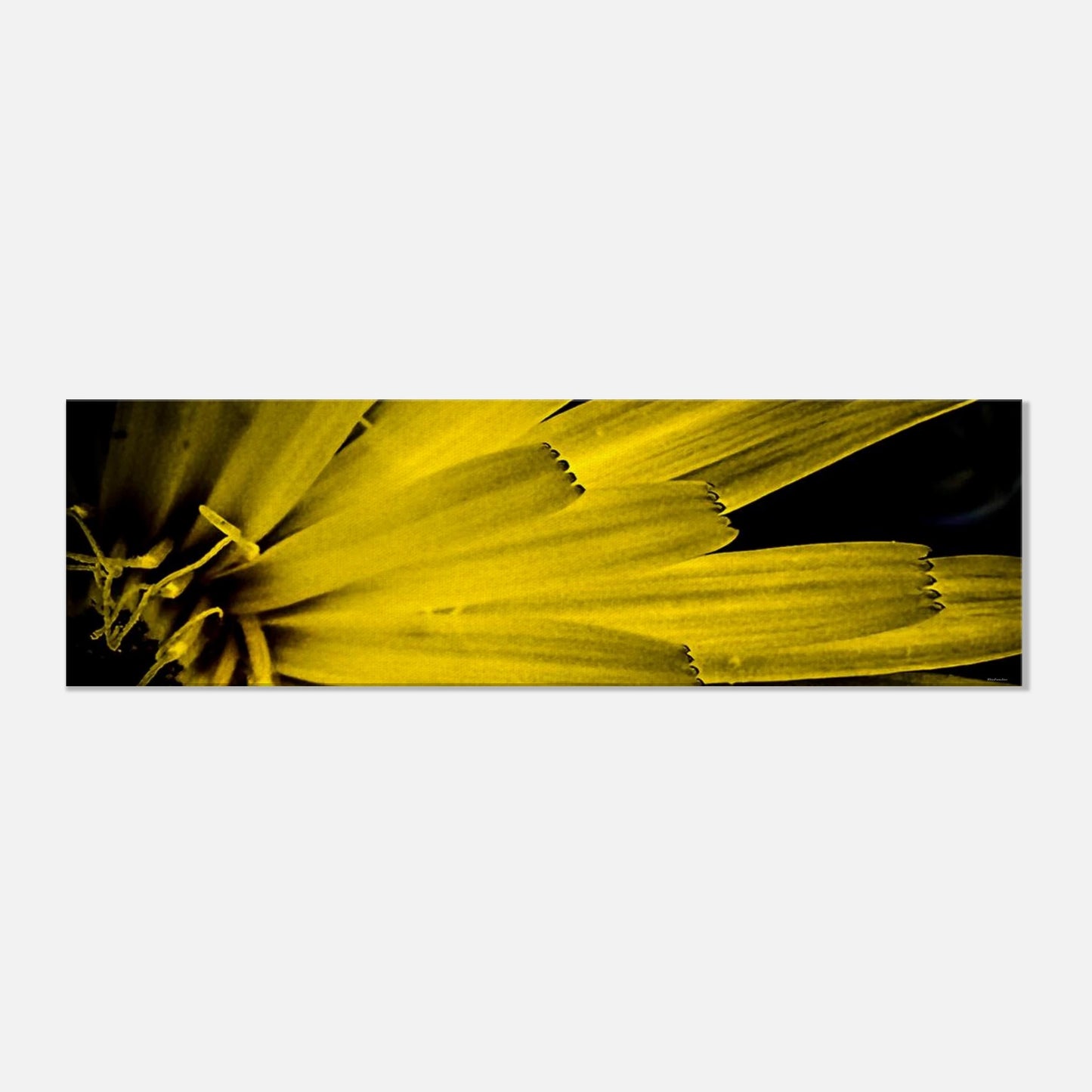 ef3d09f8-9b20-400c-8431-af93d0bdf9a8