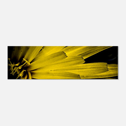 ef3d09f8-9b20-400c-8431-af93d0bdf9a8