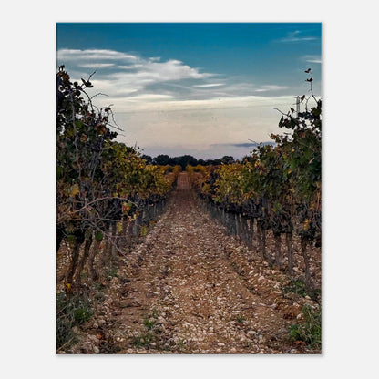 ef645bed-1e4b-4a44-9a33-bb937769c42a