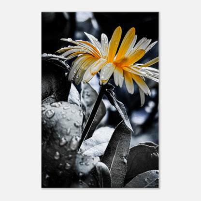 ef66aba8-5ea5-4d9b-a9ca-caf6eed0253d