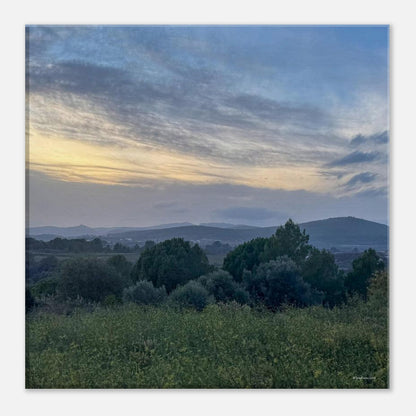 ef66e9ec-83ad-4a72-b363-ed7e96521955