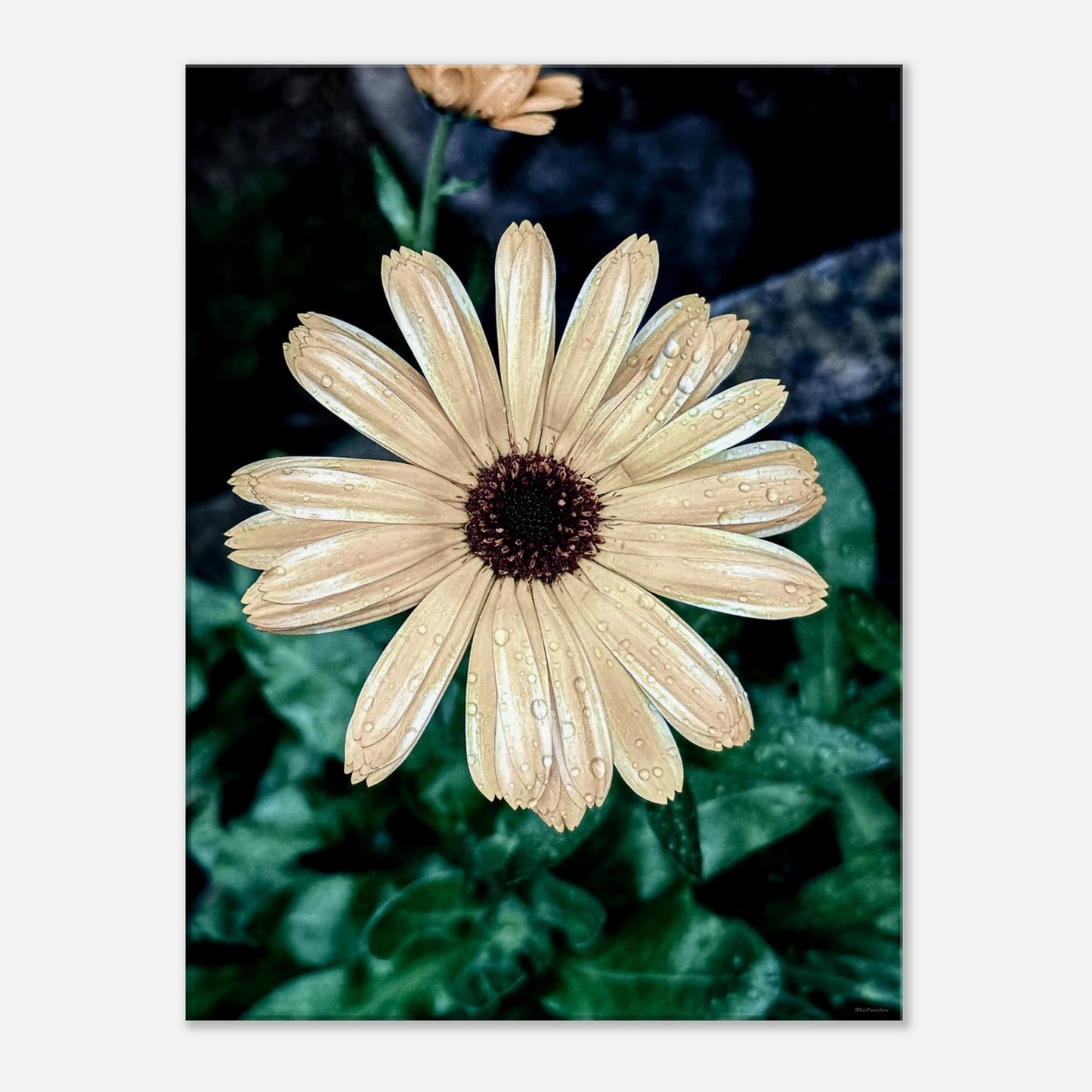 ef6a4867-3645-442a-955c-d80a86926fa2