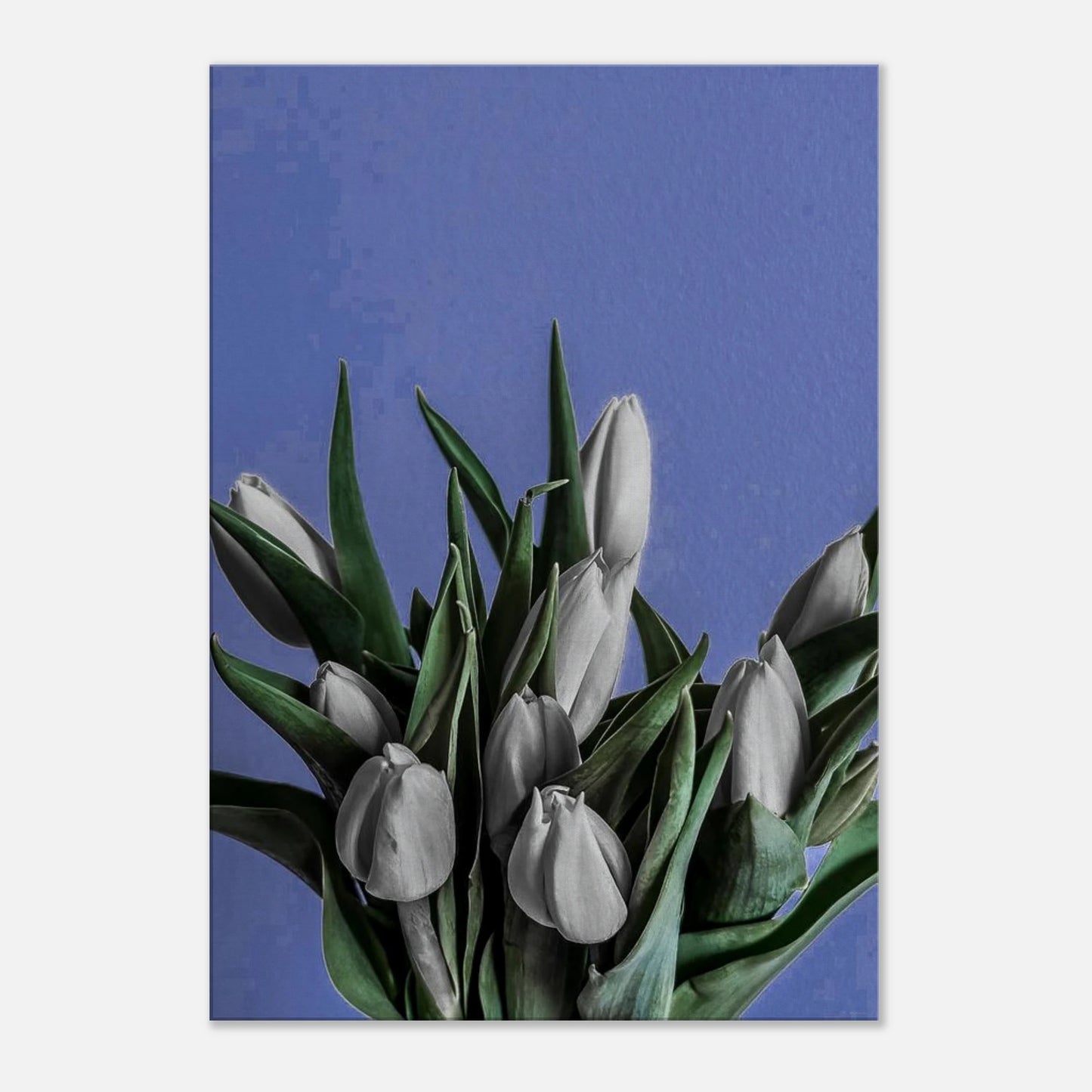 ef7b19a9-4fe6-42e6-844b-5a81bd89f170