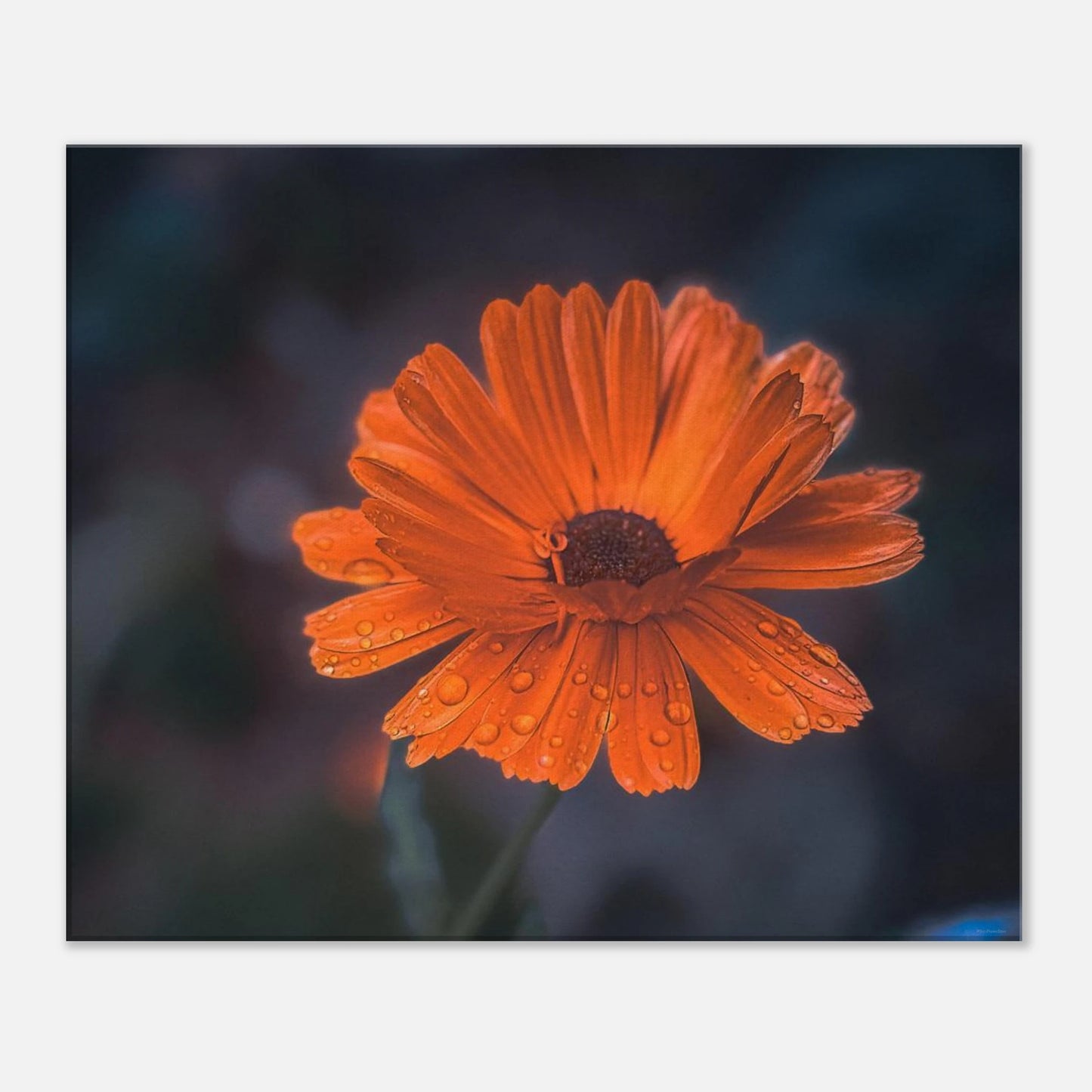 ef81777c-c6b7-4b21-b800-de421967908d