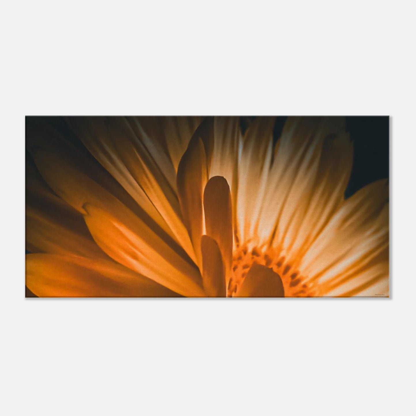 ef92e33b-b4b9-43ce-9ba3-02a59a131dbf