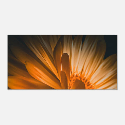 ef92e33b-b4b9-43ce-9ba3-02a59a131dbf