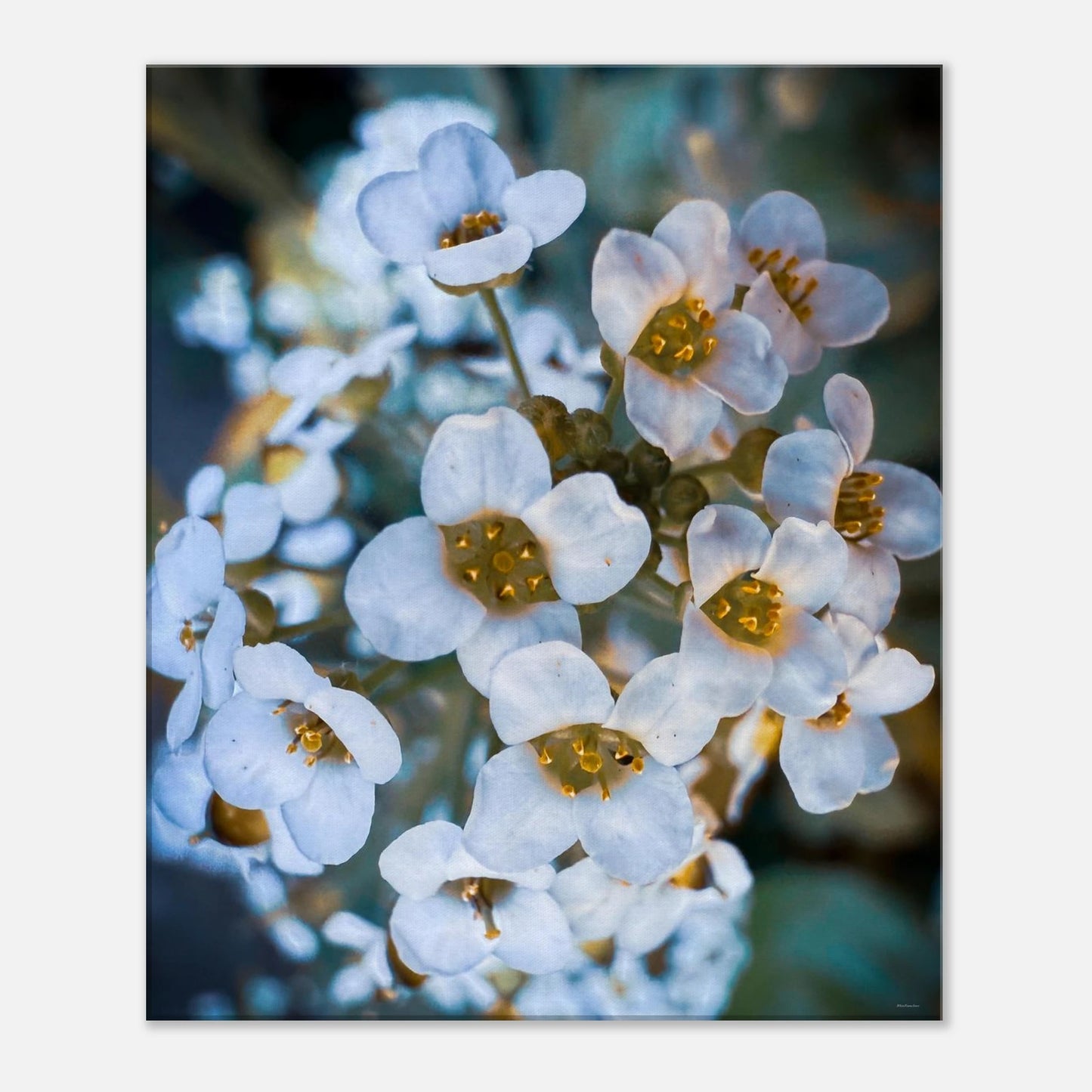 ef94d3f2-0cfc-4781-808f-8621a3b7ec86