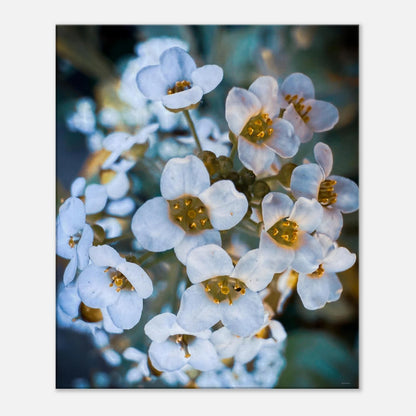 ef94d3f2-0cfc-4781-808f-8621a3b7ec86