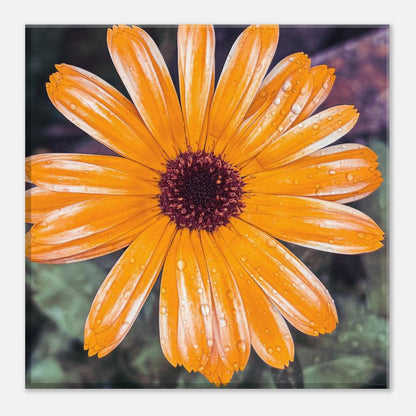 efc3cb00-65ac-435c-81b7-22b8f5b23c04