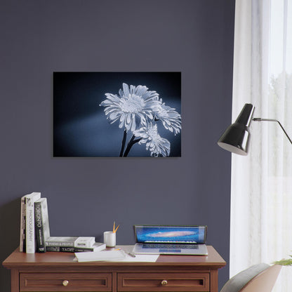 efe29bb7-fb63-47a3-855d-1ac27ef966aa