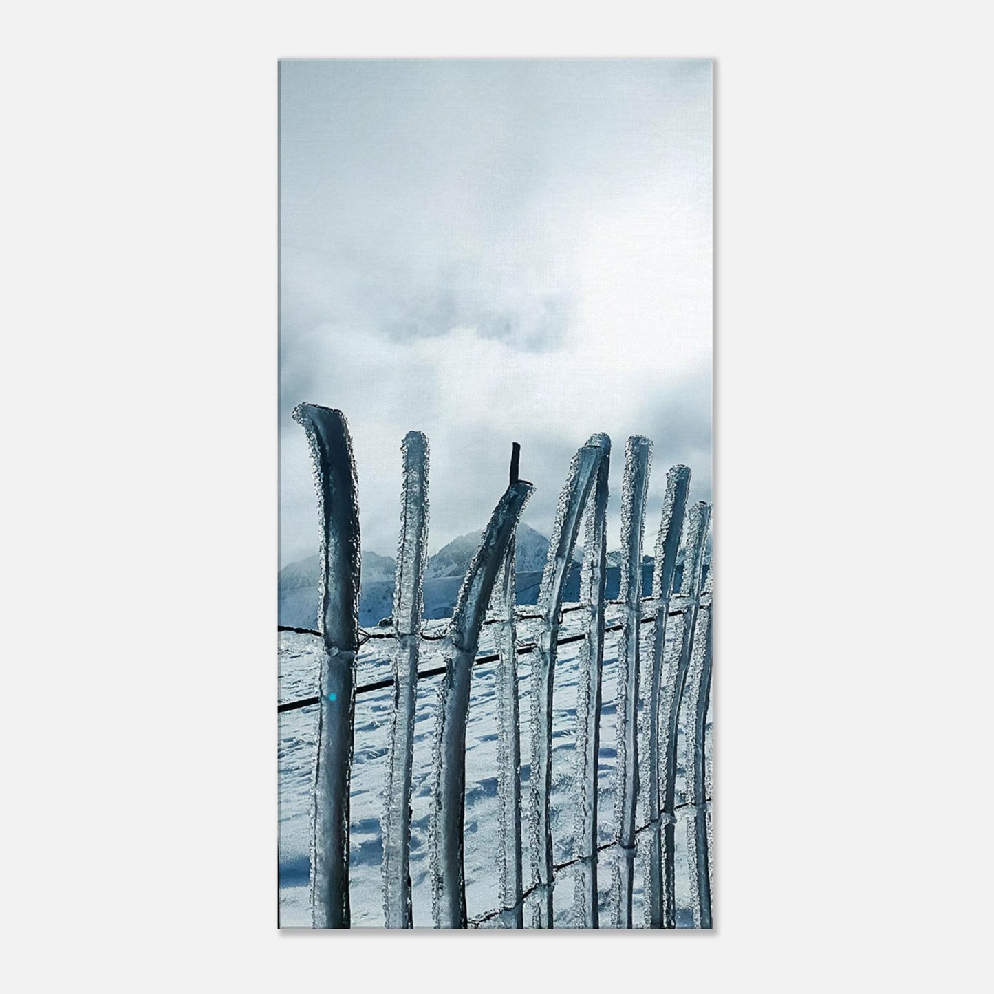 eff6fb39-d358-40b6-8331-64ad7dc922a6