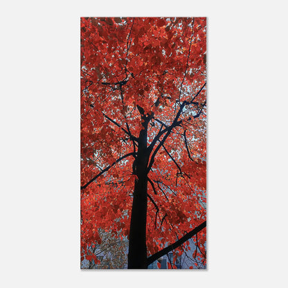 eff889f3-89a5-41a4-8fa2-5ce7203957c7