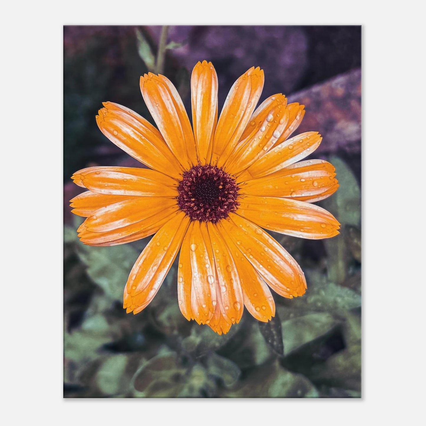 f0580e86-ec91-45e5-8b1c-299c9c121abf