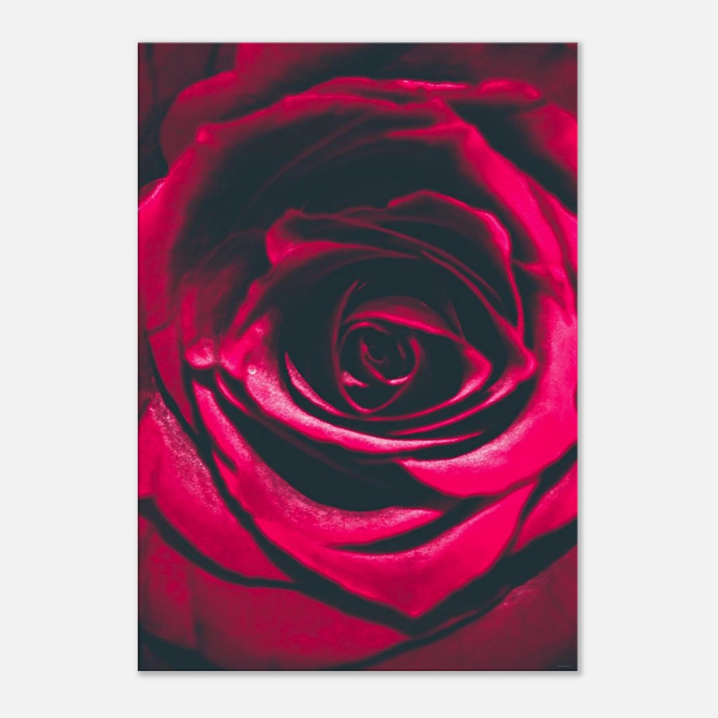 f05f6d6c-93b1-4692-8b0b-1a3a4d0f6d14