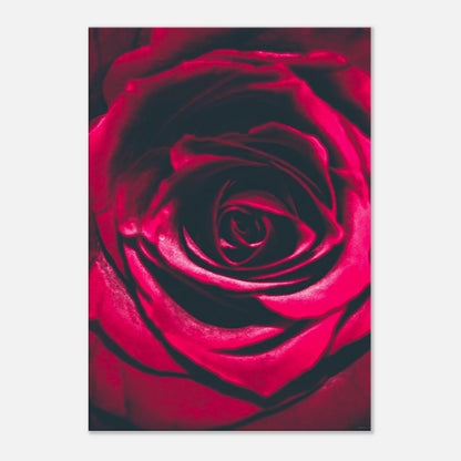 f05f6d6c-93b1-4692-8b0b-1a3a4d0f6d14