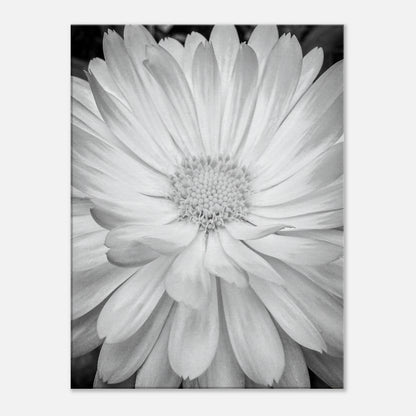 f07d2191-f6b9-436b-855b-96d8e41b93e2