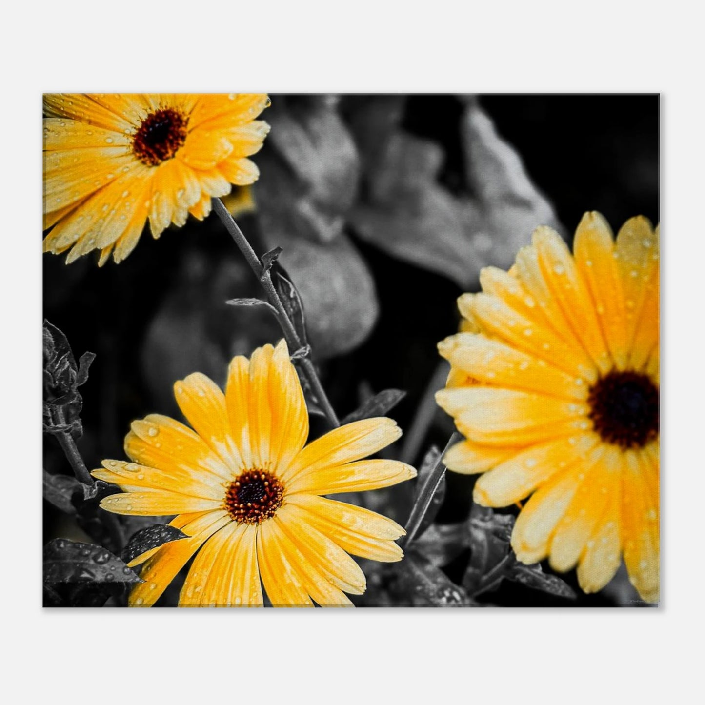 f09ef928-1a25-4a98-bcc8-66f416f603ac