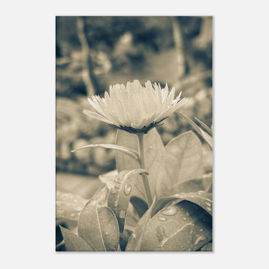 f0d3f7ed-5952-4825-b7c8-49a8f7d2949a