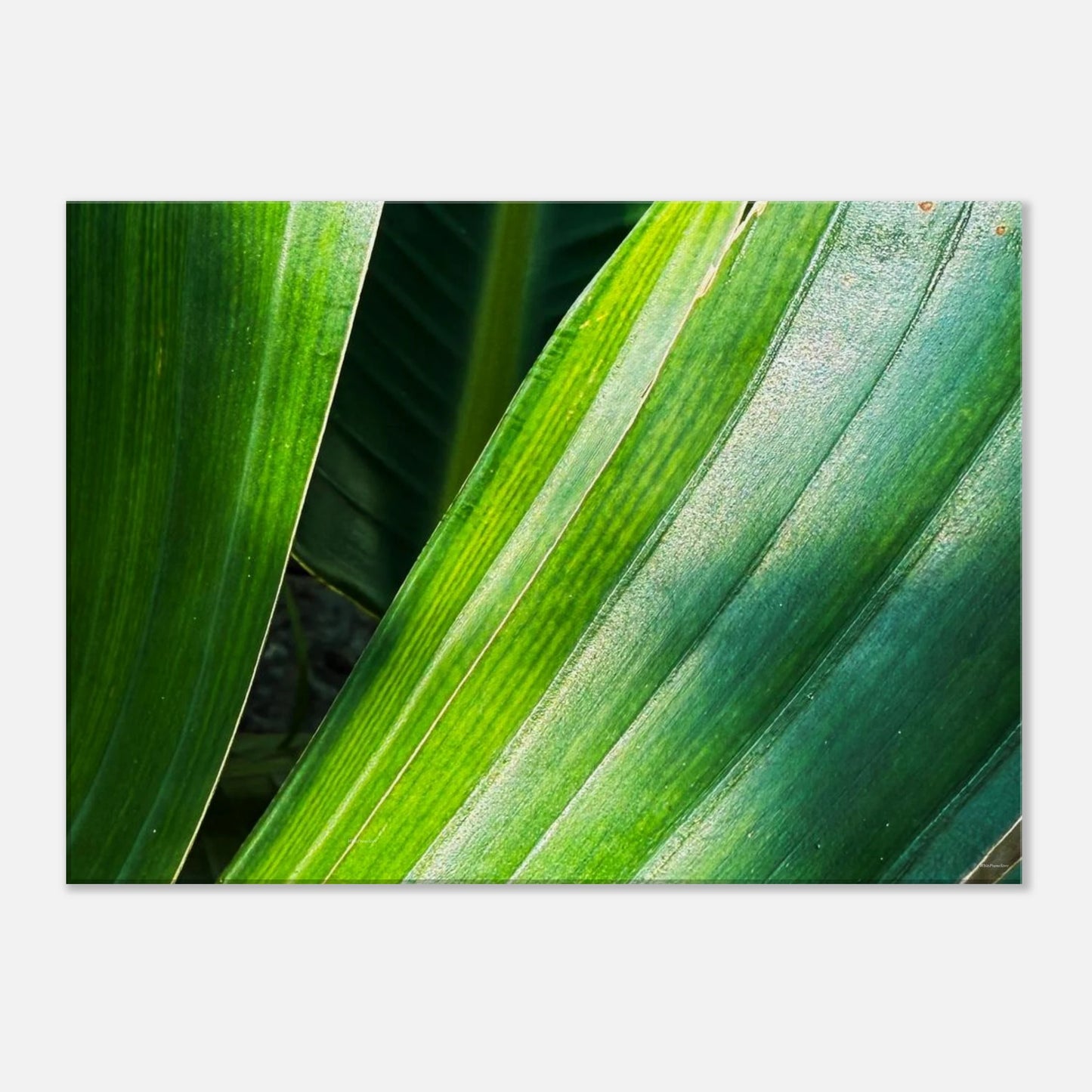 f0ec1deb-5f31-4860-ae1a-2eca65147b3e