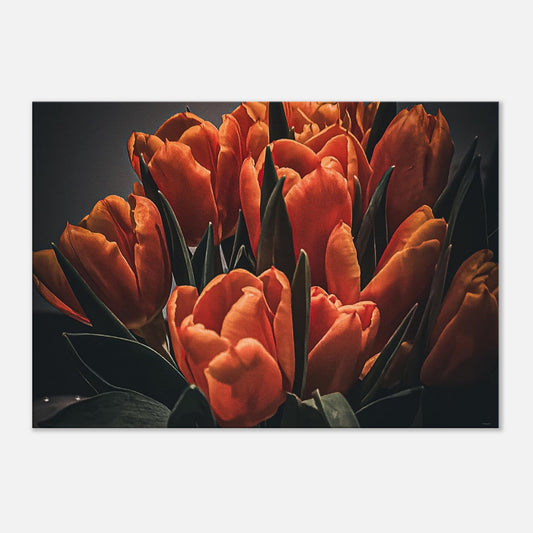 f0f455b6-b9a5-4569-b63d-98efcf8f077d