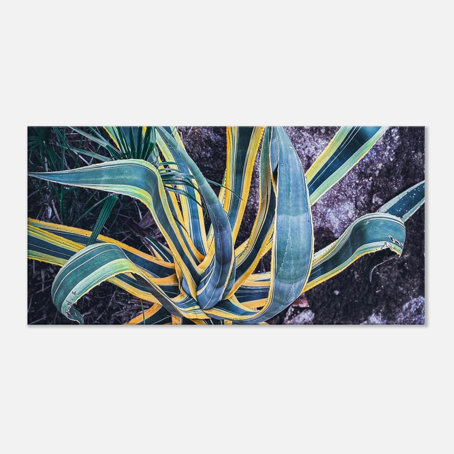 f0f78873-5386-4f31-ab5d-53a3fe99321f