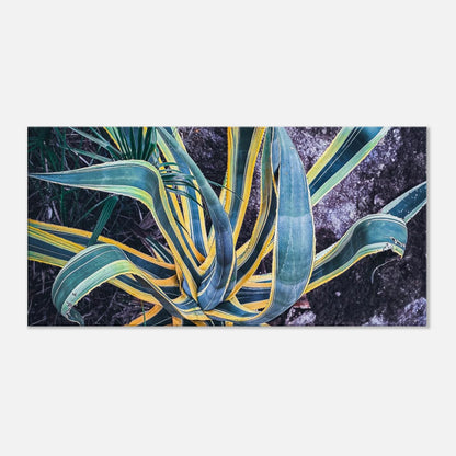 f0f78873-5386-4f31-ab5d-53a3fe99321f