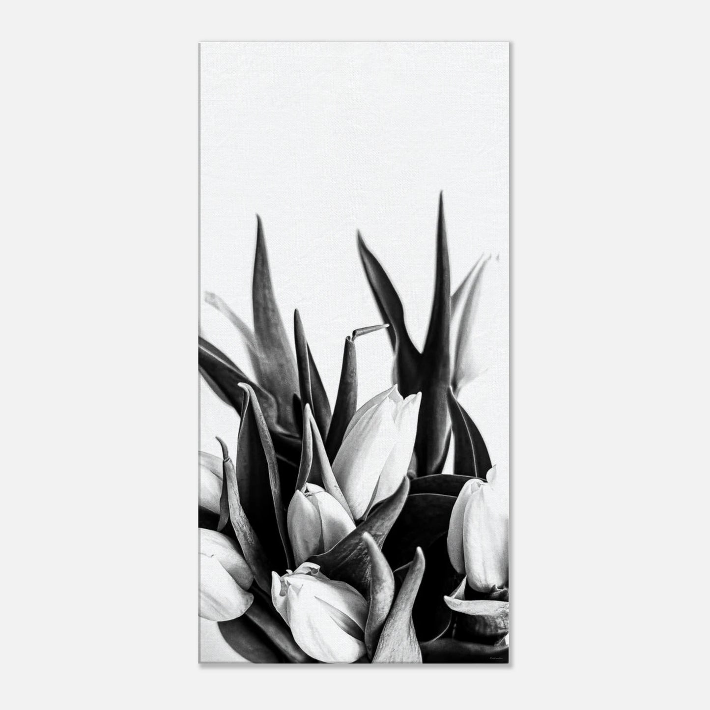 f1221e6a-703b-470a-bae9-d38e0c03af89