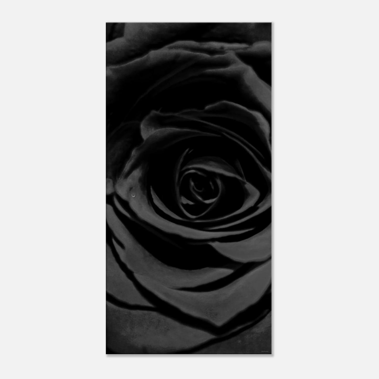 f154b5b5-4431-42ac-9b9c-00a2e7a706bf