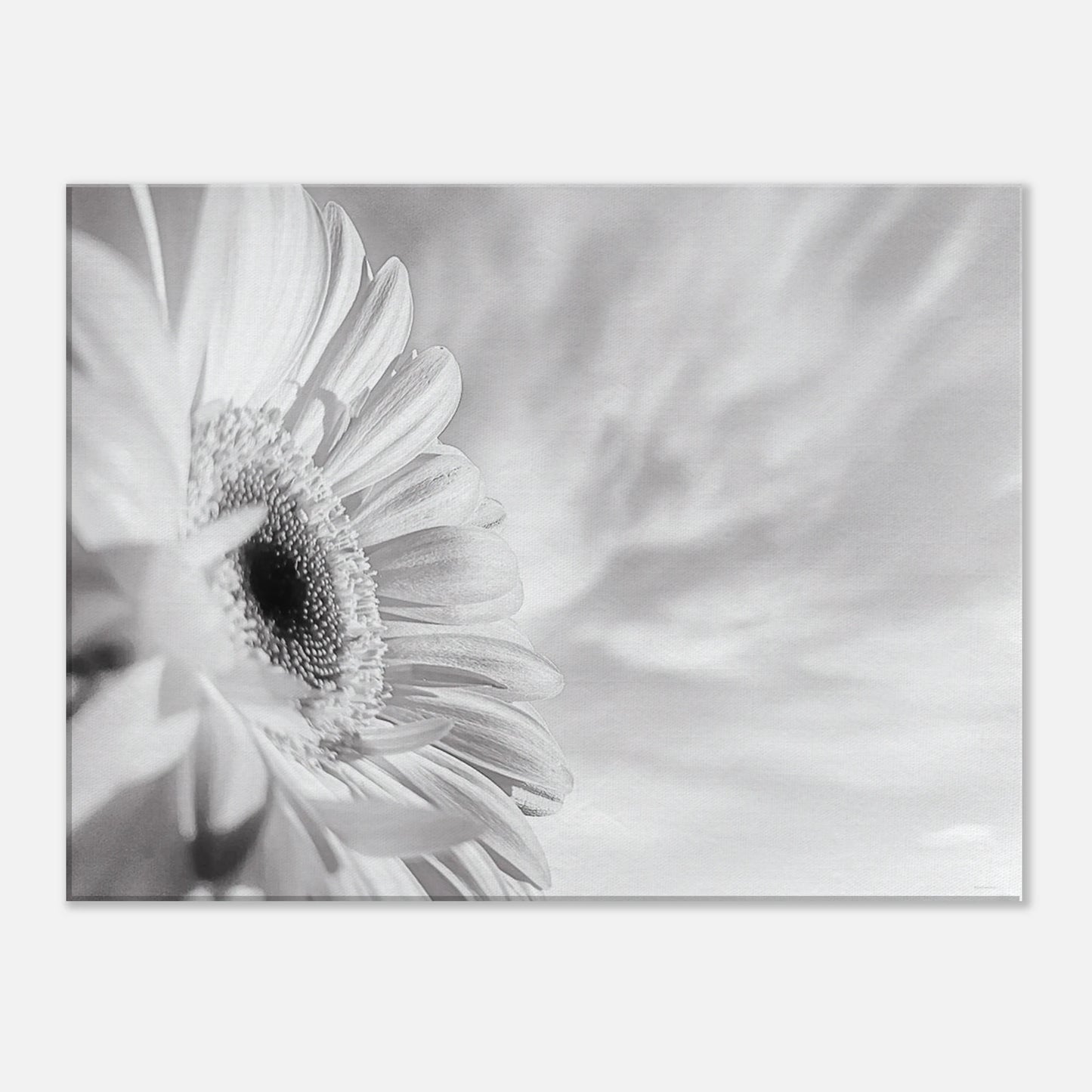 f167bf46-70c3-4d04-adfc-01b9ed96d585