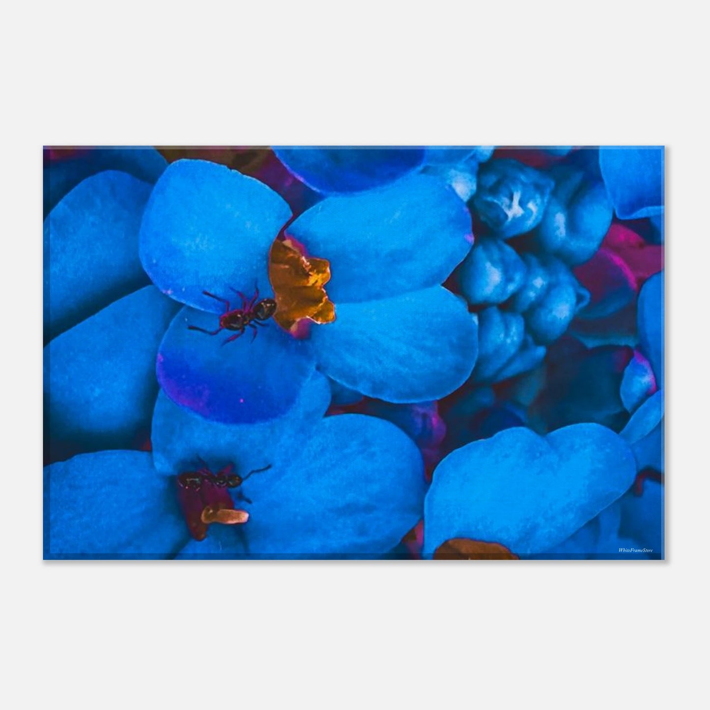 f1b1c1b6-bd65-4ce6-a399-8fd8c4c8eb1c