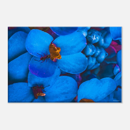 f1b1c1b6-bd65-4ce6-a399-8fd8c4c8eb1c