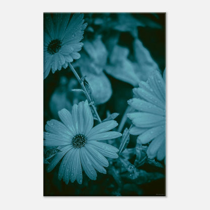 f21d73bf-dfa2-400a-885b-8c24451fe60f